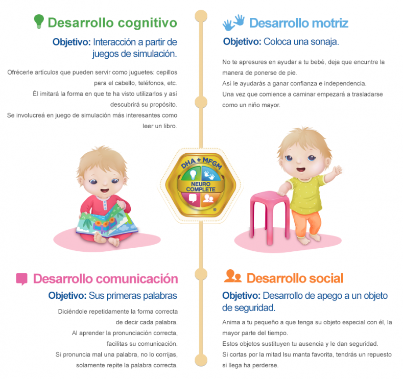 enfabebe infografia actividades para impulsar el desarrollo del bebé de 12 a 24 meses