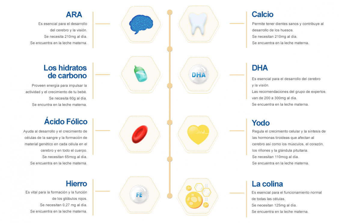 Componentes de la leche materna. Aparte de los nutrientes