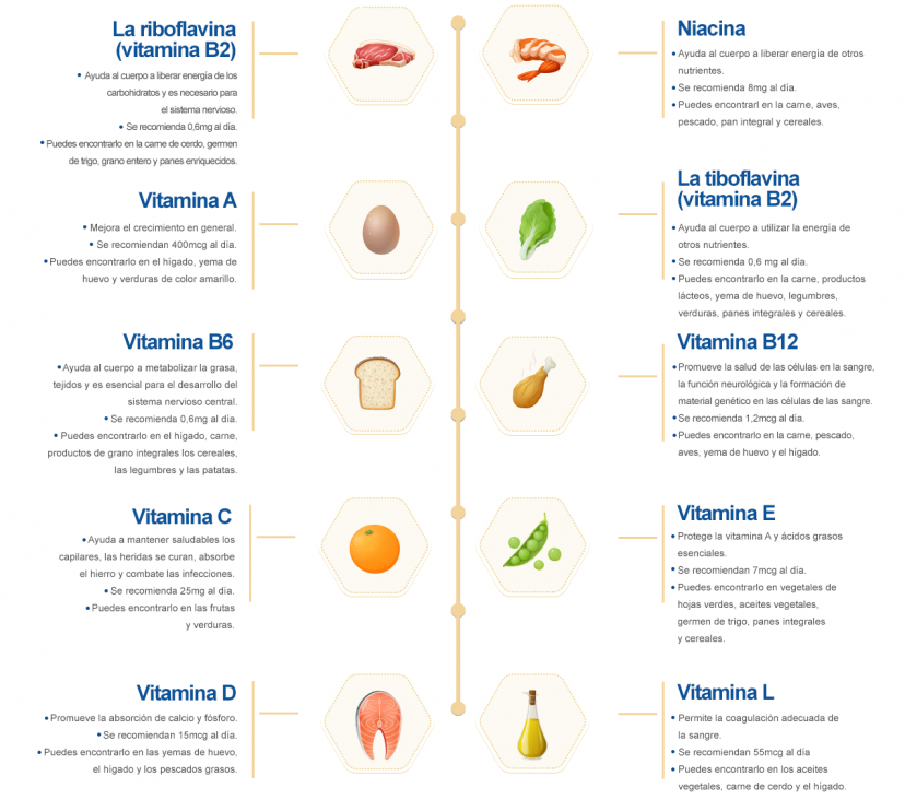 enfabebe infografia vitaminas escenciales para niños de 4 a 5 años