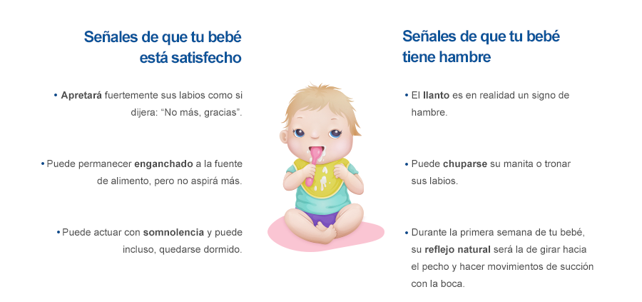 enfabebe infografia alimentación y nutrición para bebés de 0 a 6 meses