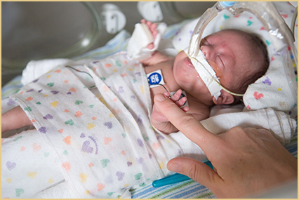 enfabebe padre sujetando la mano de su bebé en ucin