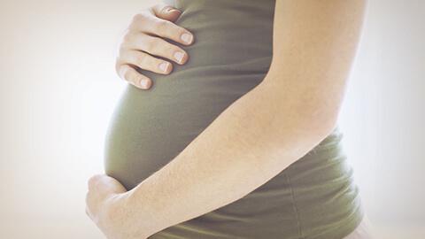 Hitos del segundo mes de embarazo
