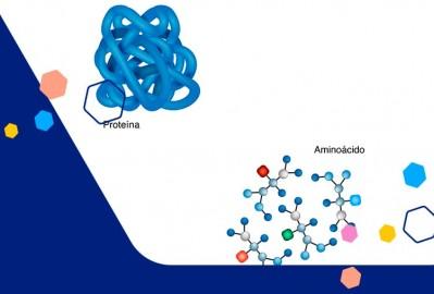 Estructura de la proteína