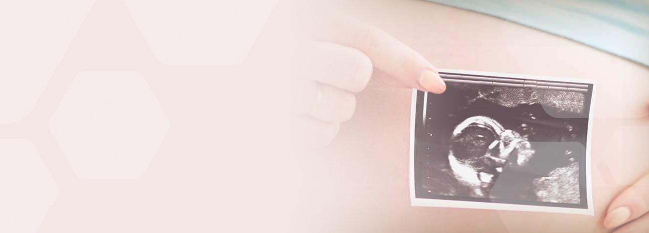 seis meses de embarazo