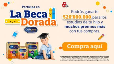 Participar Beca Dorada de Enfagrow