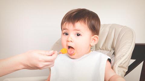 La alimentación durate los primeros 6 meses de vida