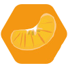 Mandarina en gajos 