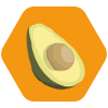 Palta